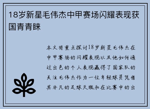 18岁新星毛伟杰中甲赛场闪耀表现获国青青睐