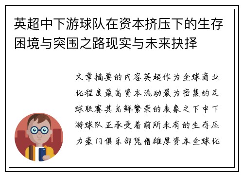 英超中下游球队在资本挤压下的生存困境与突围之路现实与未来抉择