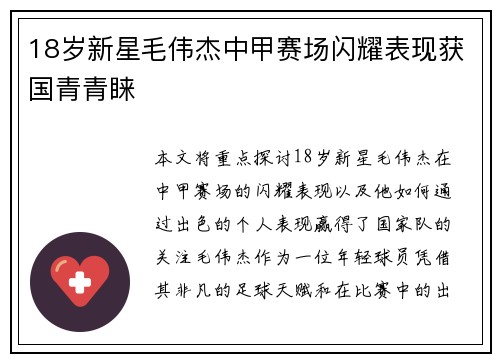 18岁新星毛伟杰中甲赛场闪耀表现获国青青睐